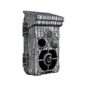 LbgVXeY AT-2 drE\[[obe[ZT[J