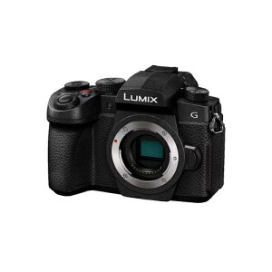y5Nۏؕtzpi\jbN(Panasonic) LUMIX DC-G99M2 {fB }CNtH[T[Y fW^J
