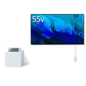 y5Nۏؕtzpi\jbN(Panasonic) TH-55LW2 zCg VIERA 55V^ 4KL@ELEH[tBbger 2TBHDDf
