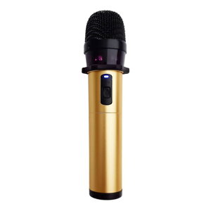 PENTATONIC(�y���^�g�j�b�N) GTM300 �V�����p���S�[���h ���C�����X�J���I�P�}�C�N