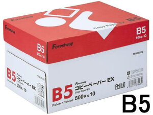 Forestway �R�s�[�y�[�p�[EX B5 500��×10��[����s��]
