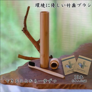 |uV uV 10{Zbg Y VR ou[ A R GR ėp ɂ₳ |  uV Zbg P[Xt 