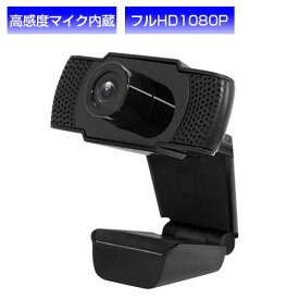 HIDISC WEBカメラ マイク内蔵 簡単接続 200万画素1080P フルHD HDEDG1-2M ウェブカメラ webkamera【送料無料（一部地域除く）】