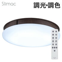 楽天市場】プラズマクラスター シーリングの通販