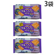 『賞味期限：26.09.27』三立製菓 香り味わうブルーベリーパイ 10個 3袋