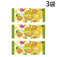 『賞味期限：26.12.23』三立製菓 すっきり夏みかんパイ 10個 3袋