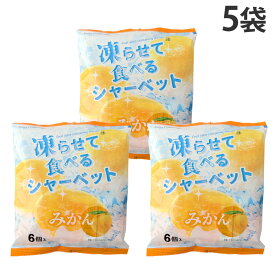 『賞味期限：26.12.20』シャーベット みかん 凍らせて食べる 6個入 JCC 雪国アグリ 5袋