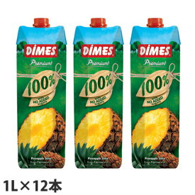 ディメス パインアップルジュース 果汁100％(濃縮還元) 1L×12本『送料無料（一部地域除く）』
