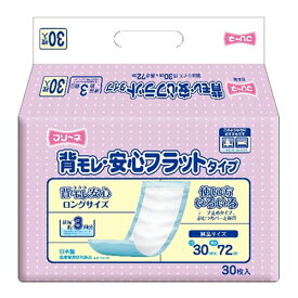 第一衛材 フリーネ 背モレ・安心フラットタイプ 30枚