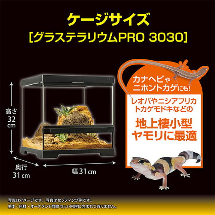 楽天市場】ジェックス レオパ飼育キット GTP3030 爬虫類 ヒョウモン 