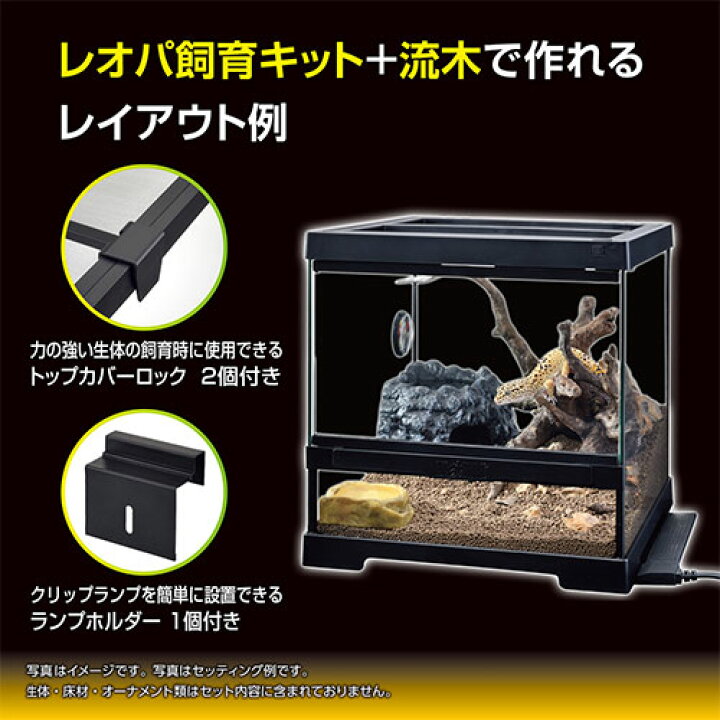 楽天市場】ジェックス レオパ飼育キット GTP3030 爬虫類 ヒョウモン 