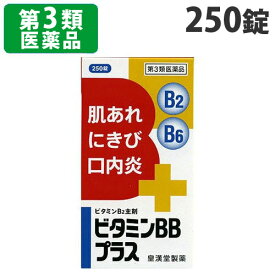 【第3類医薬品】ビタミンBBプラス「クニヒロ」 250錠