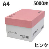 カラーコピー用紙 ピンク A4 5000枚 用紙 OA用紙 印刷用紙 無地『送料無料（一部地域除く）』