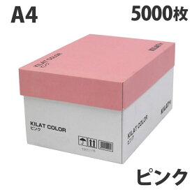 カラーコピー用紙 ピンク A4 5000枚 用紙 OA用紙 印刷用紙 無地『送料無料（一部地域除く）』