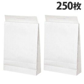 宅配袋 大 320×110×450mm 250枚入 配送袋 梱包袋 紙袋 郵便袋 梱包袋 梱包資材 無地『送料無料（一部地域除く）』