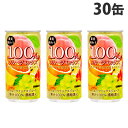 フルーツジュース 果実味わう 100％フルーツミックス 190g 30缶 サンガリア