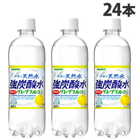 サンガリア 伊賀の天然水強炭酸水 グレープフルーツ 500ml×24本 炭酸 炭酸水 強炭酸水 割材 炭酸飲料 天然水炭酸水