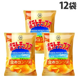ポテトチップス コンソメ 湖池屋 55g 12袋