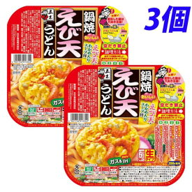 五木食品 鍋焼えび天うどん 220g×3個 うどん インスタント食品 直火 レトルト 即席麺 麺類 食品