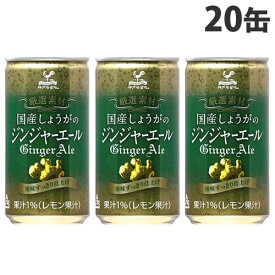 富永貿易 神戸居留地 国産生姜ジンジャーエール 缶 185ml×20缶