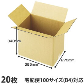 ダンボール 100サイズ（B4）20枚 宅配箱 取手なし 段ボール K5 無地 みかん箱 梱包用 引越し 引っ越し ダンボール箱 段ボール箱 宅配 収納『送料無料（一部地域除く）』