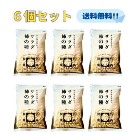 竹内製菓 サラダ柿の種 米菓 265g × 6袋セット 久慈食品 お徳用 チャック付 お菓子 せんべい 土産 お土産 サラダ あられ おかき おいしい ひび辛 大柿 甘辛 パウチ まとめ買い