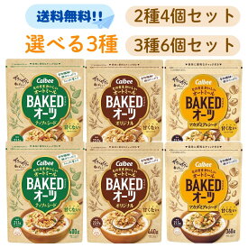 特価【賞味期限2026年4月】 カルビー ベイクドオーツ 選べる ナッツ&シード オリジナル ナッツ シード オリジナル オーツ麦 オートミール 食物繊維 鉄分 たっぷり 特価 たんぱく質 ロカボ シリアル セット まとめ買い そのまま おいしい 保存 便利