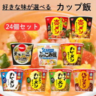 日清 カップメシ 選べる 24個 天下一品 ぶっこみ飯 鶏白湯 カレーメシ 欧風ビーフ ビーフカレー シーフー…