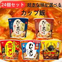 日清 カップメシ 選べる 24個 カレーメシ シーフード 炎メシ キムチビビンバ だし茶づけ 鯛だし 明太子 ゴーゴーカレー 飯 メシ 米 ライス ご飯 カップライス カップ ご飯 詰め合わせ まとめ買い 箱 箱買い ごはん カップ飯 業務用 カレー 大量 アソート