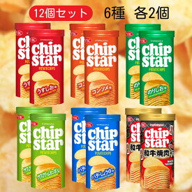 チップスター S 45g 6種セット 【最短賞味期限2026.5】 うすしお コンソメ のりしお サワークリームオニオン バターしょうゆ 和牛焼肉 各2個 計12個セット ポテトチップス ポテト ポテトスナック お菓子 詰め合わせ まとめ買い 業務用 ヤマザキビスケット おやつ スナック 肉