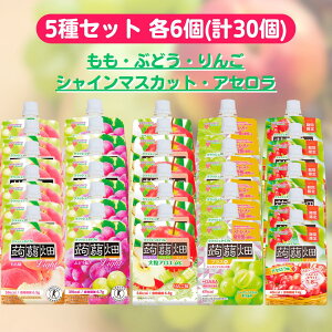 マンナンライフ クラッシュタイプの蒟蒻畑 5種 各6個 計30個 セット ぶどう パシャインマスカット アセロラ もも 大粒アロエ りんご セット こんにゃくゼリー ゼリー パウチ アソート 詰め合