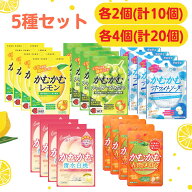 かむかむレモン パウチ 【最短賞味期限2026.11】 5種セット レモン シャインマスカット ホワイトソーダ …