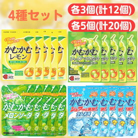 かむかむレモン パウチ 【最短賞味期限2027.3】 4種セット レモン シャインマスカット ラムネ メロンソーダ まとめ買い セット かむかむ カムカム パウチタイプ マスカット ソーダ 炭酸 キャンディー キャンディ チューイングキャンディ 業務用 チャック 小袋 三菱食品
