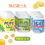 かむかむレモン 選べる 9個セット 【最短賞味期限2027.2】 シャインマスカット ラムネ レモン 120g まと…