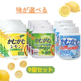 かむかむレモン 選べる 9個セット 【最短賞味期限2027.2】 シャインマスカット ラムネ レモン 120g まとめ買い かむかむ マスカット かむかむレモンボトル お得 ビタミン カムカム ボトル タイプ キャンディ お菓子 フタ レモン マスカット ビタミン キャンディ