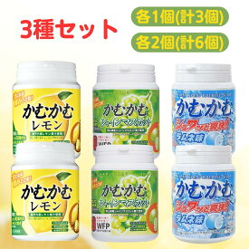 かむかむレモン マスカット ラムネ ボトル 3種 アソート セット 【最短賞味期限2027.3】 カムカムレモン まとめ買い 三菱食品 チューイングキャンディ ビタミン カムカム 大量 業務用 シャインマスカット 人気 お菓子 キャンディ フタつき レモン 大容量 特価 お得