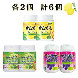 かむかむ ボトルの人気商品・通販・価格比較 - 価格.com