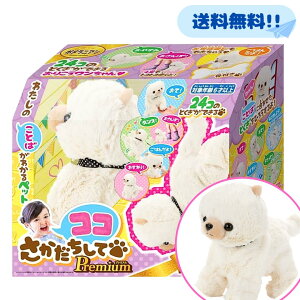RR Premium v~A ZKgCY ʂ |jA ybg 傫 A   b   _X ׂ ^ 킢 a v[g RR 