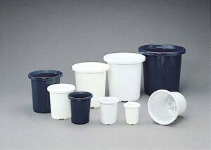 ACXI[}@eBgPKC@10@݂@1Zbg(10_)@yԕiELZsz@199363