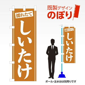 fUĈڂ  W600mm×H1,800mm AM-F-3464 fUCsv g 600×1800 Cxg lC X X As[ ڗ ꂢ  Wq