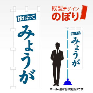 �����f�U�C���̂ڂ�� �݂傤�� W600mm×H1,800mm AM-F-3474