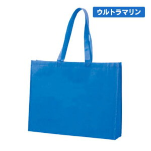 y20zsDz p W520×H400×D120 90gyS5Fz sDzobO  bsO v[g Mtg Cxg W I[vLpX Ɩp zz