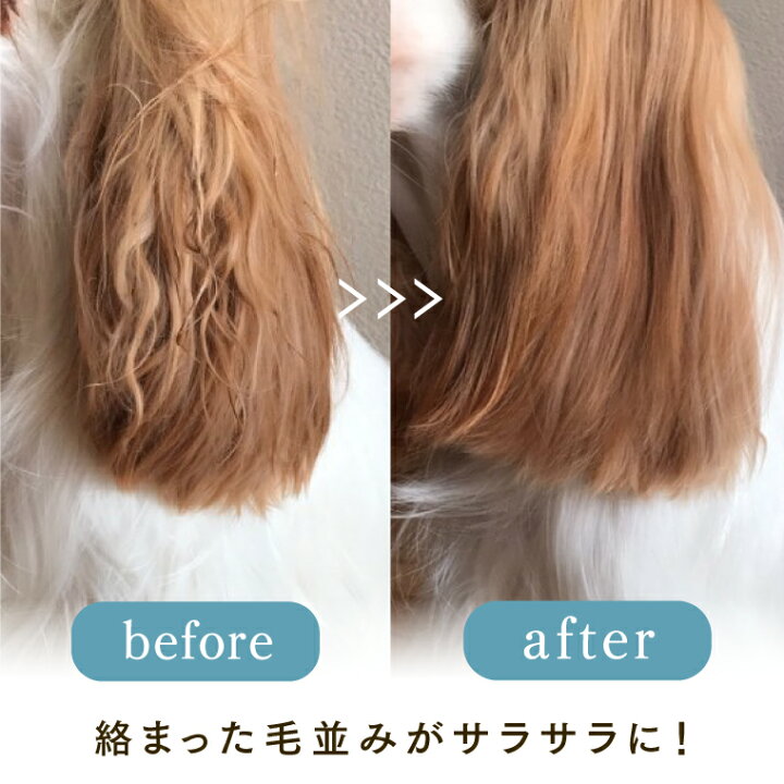 楽天市場 トリマー推奨 犬 猫 シャンプー いらずでフワフワ毛並みに Mofuwaグルーミングスプレー 300ml 小型 犬 猫 約100回分 犬 猫 ブラッシング グルーミング 保湿 消臭 スプレー ワンテンス公式 楽天市場店