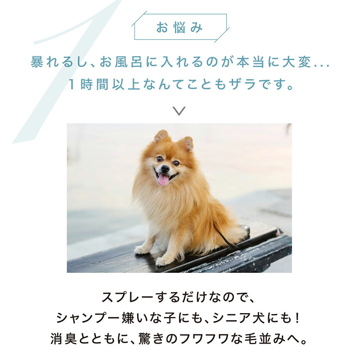 楽天市場 犬 猫 シャンプー 代わりの簡単お手入れ Mofuwa グルーミングスプレー 300ml 犬用 猫用 シャンプー 代わり 消臭 ブラッシング 毛玉ほぐし もつれ 無添加 無香料 ノンアルコール オーガニック ドライシャンプー 換毛期 短毛種 長毛種 ダブルコート 毛