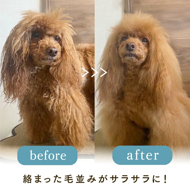 楽天市場 時短ケア 犬 猫 シャンプー いらずでふわふわ毛並みに Mofuwa グルーミングスプレー 300ml 2本 犬用 猫用 消臭 ブラッシング 毛玉ほぐし もつれ 無添加 無香料 ノンアルコール オーガニック ドライシャンプー 換毛期 短毛種 長毛種 ダブルコート 毛 国産 楽天市場 時短ケア 犬 猫 シャンプー いらずでふわふわ毛並みに Mofuwa グルーミングスプレー 300ml 2本 犬用 猫用 消臭 ブラッシング 毛玉ほぐし もつれ 無添加 無香料 ノンアルコール オーガニック ドライシャンプー 換毛期 短毛種 長毛種 ダブルコート 毛 国産