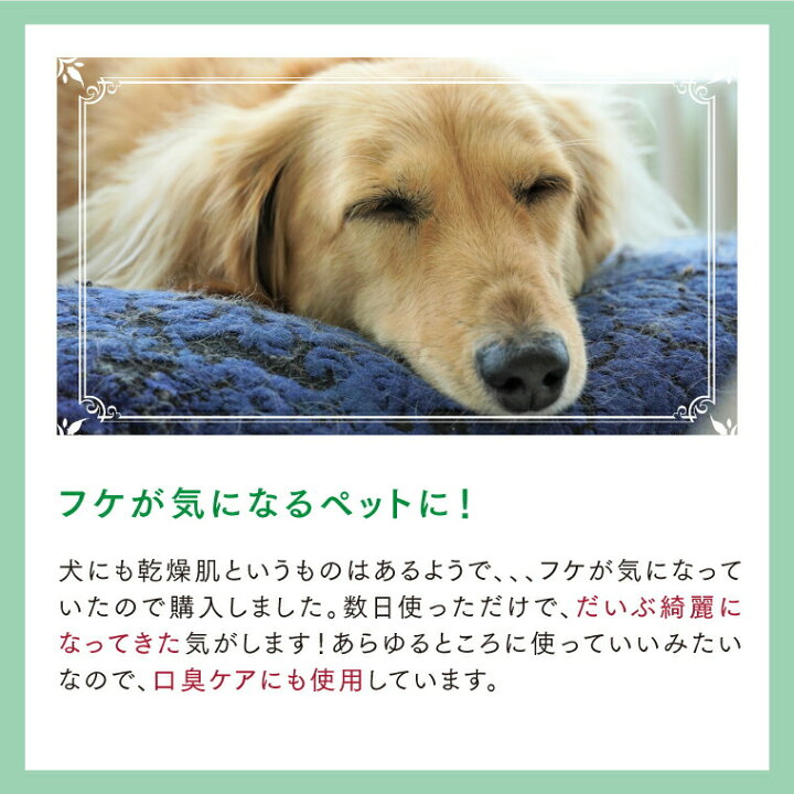 楽天市場 犬 猫 かゆみ 乾燥 肉球荒れ 口臭などのケアに Mofuwa スキンケア ミスト 300ml カイカイ 涙やけ 肉球 クリーム 保湿 熱中症 暑さ対策 痒み 止め 対策 耳 ニオイケア アイケア オールインワン 無香料 無添加 ノンアルコール 膿皮症 マラセチア 獣医師推奨 国産