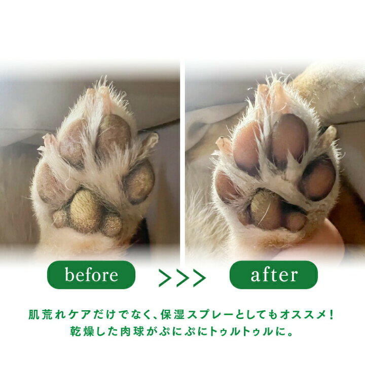 楽天市場 5 オフ 犬 猫 かゆみ 乾燥 肉球 お口などのケアに Mofuwa スキンケア ミスト 300ml 2本 カイカイ かゆみ フケ 涙やけ 保湿 消臭 口臭 痒み 止め 対策 耳 ニオイケア アイケア 無香料 無添加 ノンアルコール 獣医師推奨 ワンテンス公式