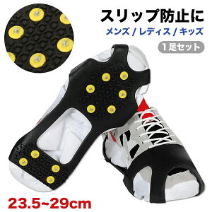 C ~ ׂ~  oh C Xm[XpCN Ȃ ΍ vC u[c Xj[J[ Y fB[X q 