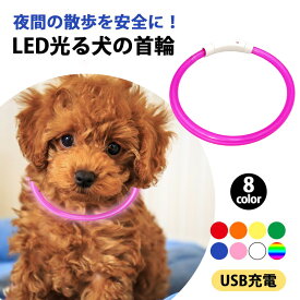 首輪 光る 犬 ライト おしゃれ リード 小型犬 中型犬 大型犬 LED 軽量 軽い 充電式 レインボー
