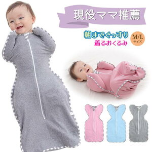 Xh   V MTCY LTCY xr[ Ԃ 킢 oYj  Rbg  鋃 [ 邨 _ut@Xi[